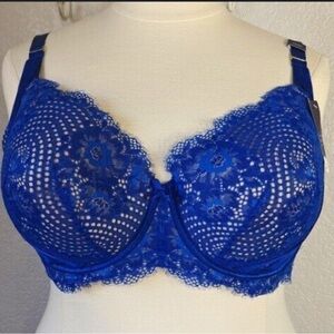 Cacique Royal Blue Lace Underwire Bra